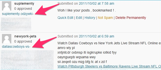 Example of spammy comment links.
